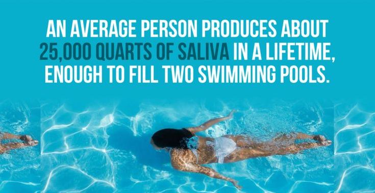 saliva swimming pool