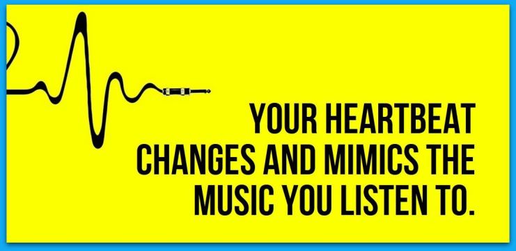 your-heartbeat-changes-acording-to-type-of-music